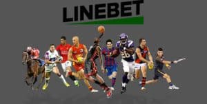 Linebet Company 3