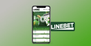 Linebet partner app 3