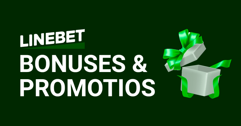 Linebet Official Website Bonuses and Promotions