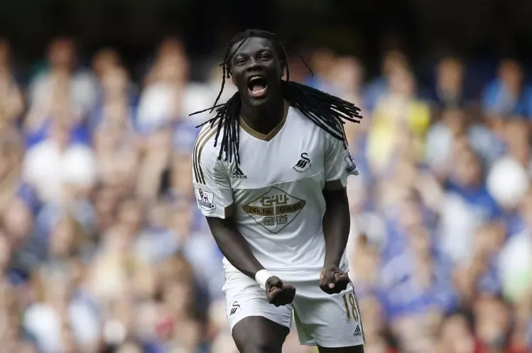 A Long-Awaited Capture for the Swans
